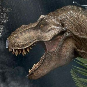 Meet your Posher, Joddy